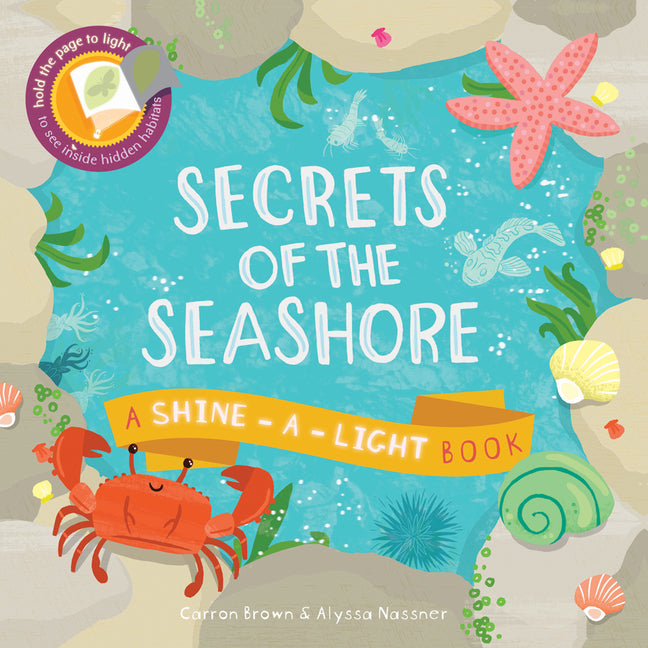 Book cover for Secrets of the Seashore