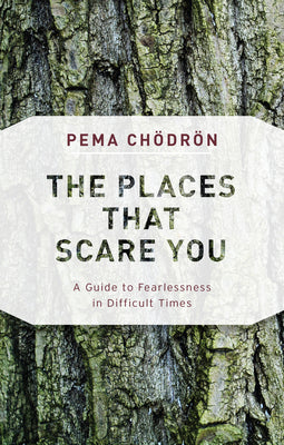 Book cover for The Places That Scare You: A Guide to Fearlessness in Difficult Times