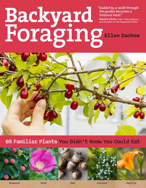Book cover for Backyard Foraging: 65 Familiar Plants You Didn't Know You Could Eat