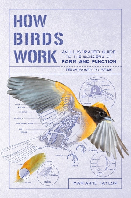 Book cover for How Birds Work: An Illustrated Guide to the Wonders of Form and Function - From Bones to Beak