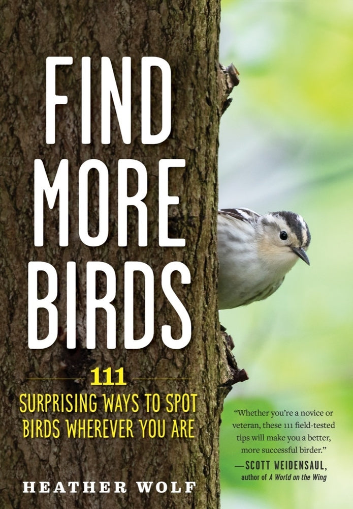 Book cover for Find More Birds: 111 Surprising Ways to Spot Birds Wherever You Are