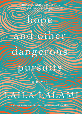 Book cover for Hope and Other Dangerous Pursuits