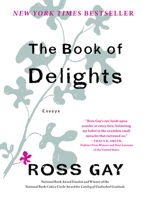 Book cover for The Book of Delights