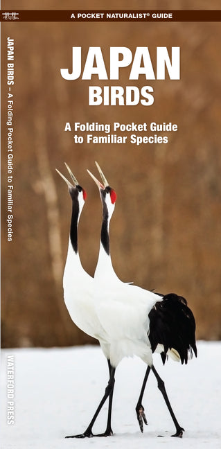 Book cover for Japan Birds