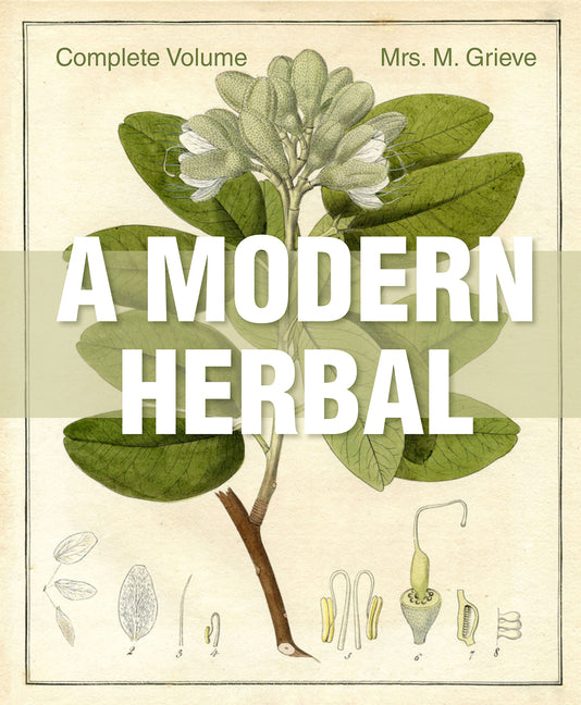 Book cover for Modern Herbal: The Complete Edition