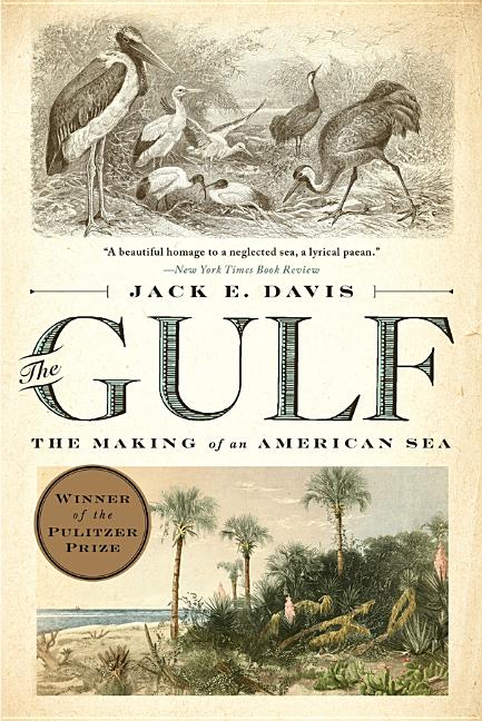 Book cover for The Gulf: The Making of an American Sea