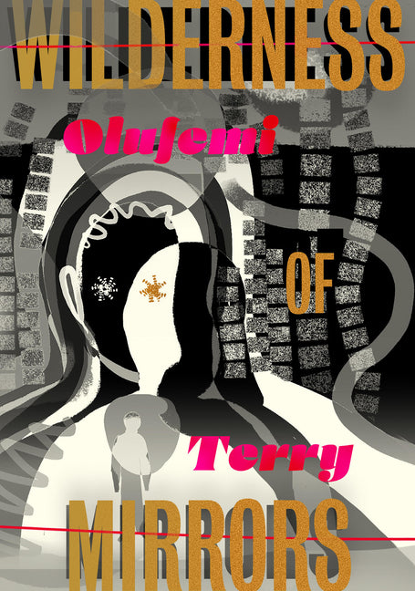 Book cover for Wilderness of Mirrors