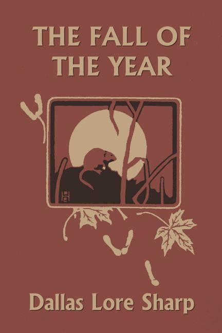 Book cover for The Fall of the Year