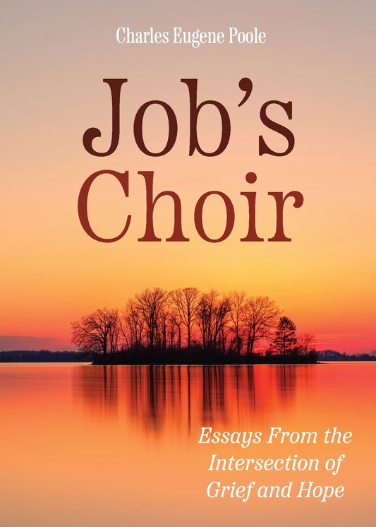 Book cover for Job's Choir