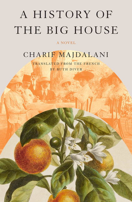 Book cover for History of the Big House