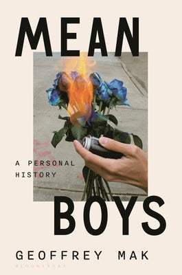 Book cover for Mean Boys: A Personal History