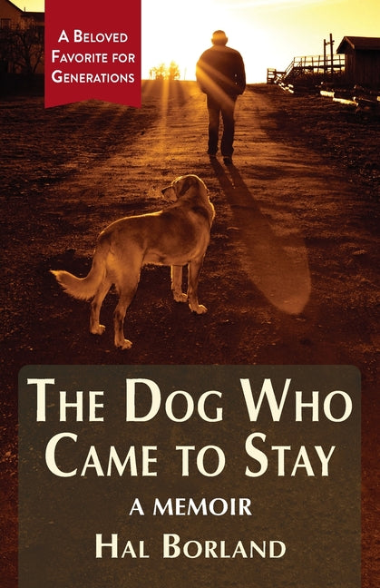 Book cover for Dog Who Came to Stay: A Memoir (Reprint)