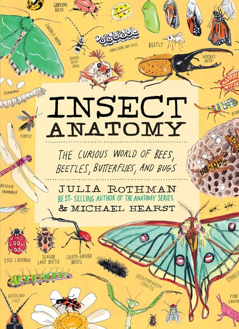 Book cover for Insect Anatomy: The Curious World of Bees, Beetles, Butterflies, and Bugs