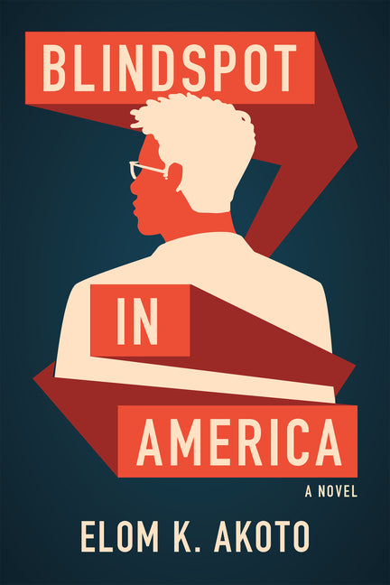 Book cover for Blindspot in America