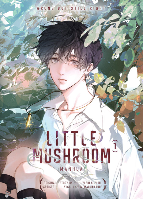 Book cover for Little Mushroom Manhua Vol.1
