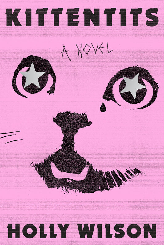 Book cover for Kittentits