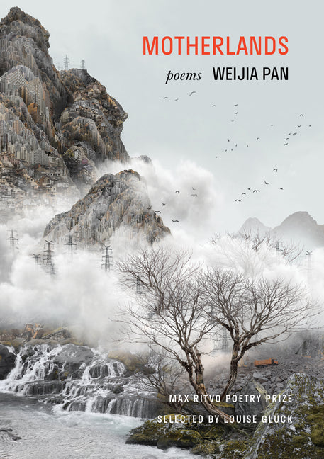 Book cover for Motherlands: Poems