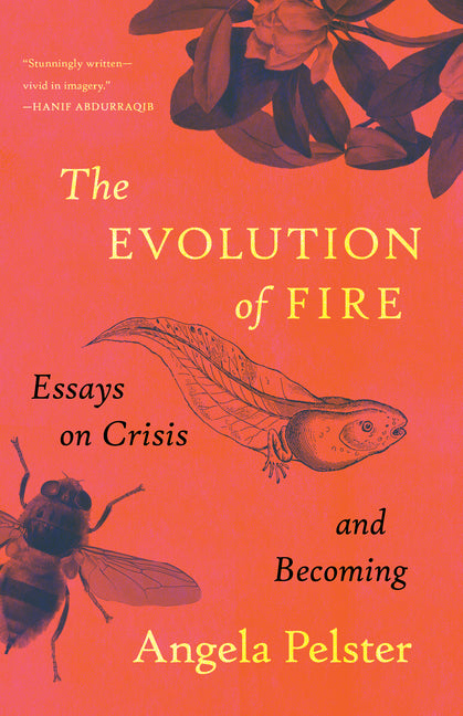 Book cover for Evolution of Fire: Essays on Crisis and Becoming