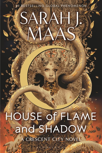 Book cover for House of Flame and Shadow