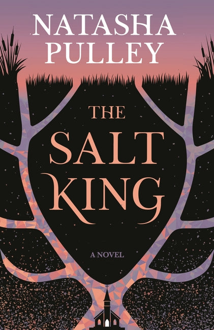 Book cover for Salt King