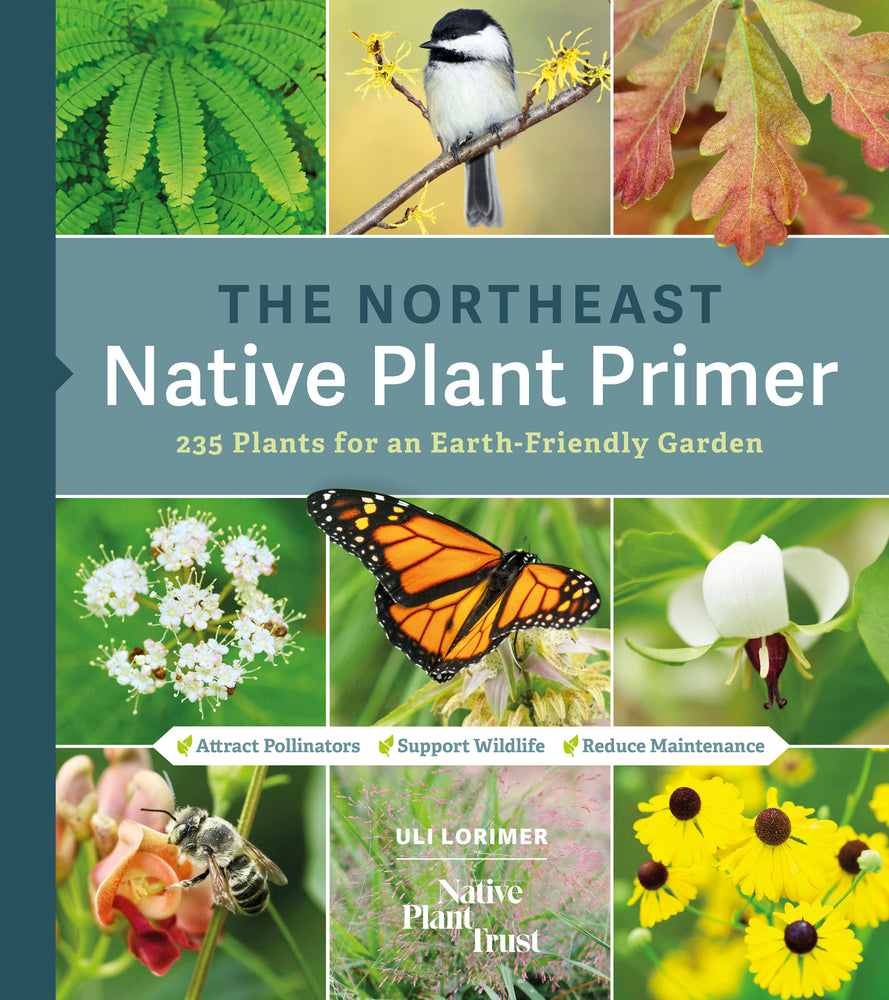 Book cover for The Northeast Native Plant Primer: 235 Plants for an Earth-Friendly Garden