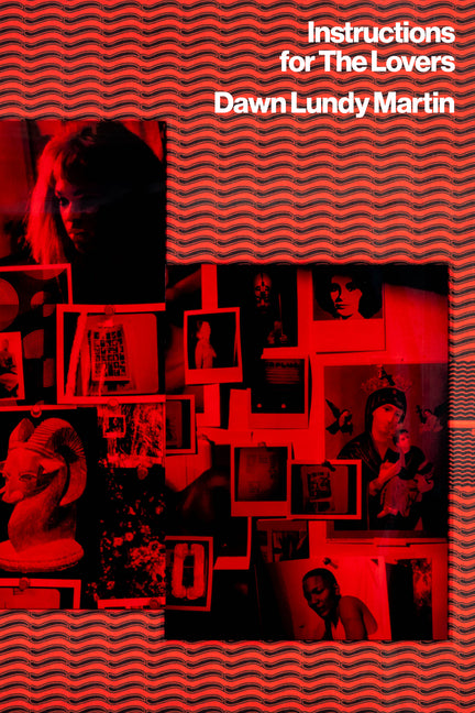 Book cover for Instructions for the Lovers