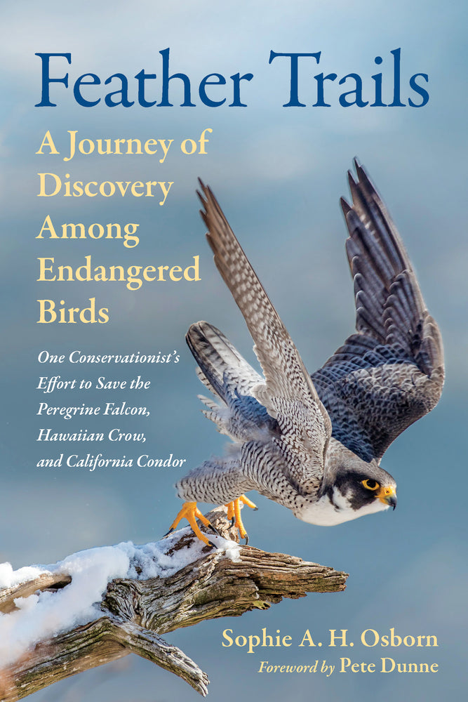 Book cover for Feather Trails: A Journey of Discovery Among Endangered Birds
