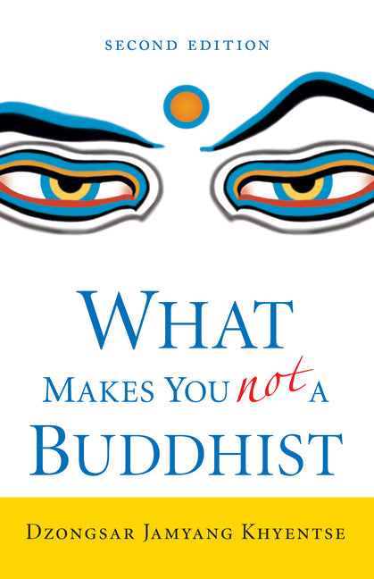 Book cover for What Makes You Not a Buddhist