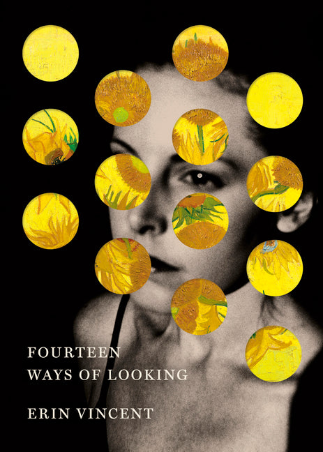 Book cover for Fourteen Ways of Looking