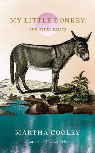 Book cover for My Little Donkey: And Other Essays