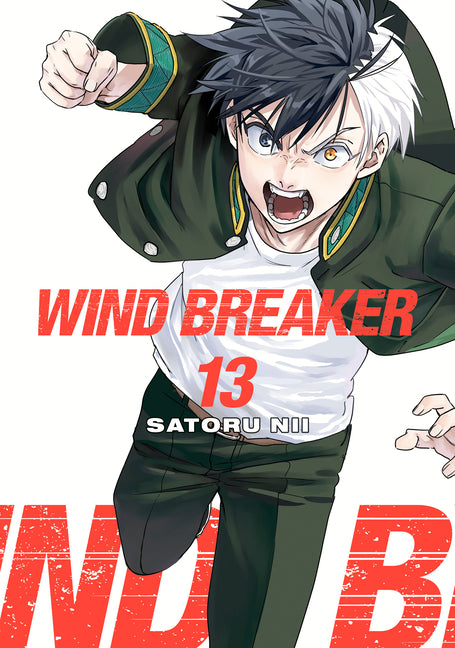 Book cover for Wind Breaker 13