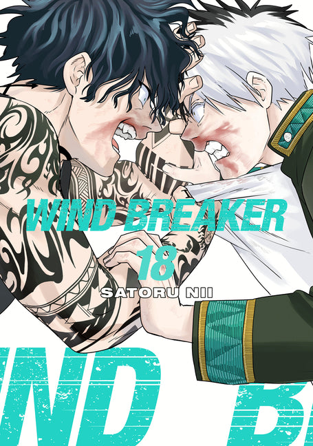 Book cover for Wind Breaker 18