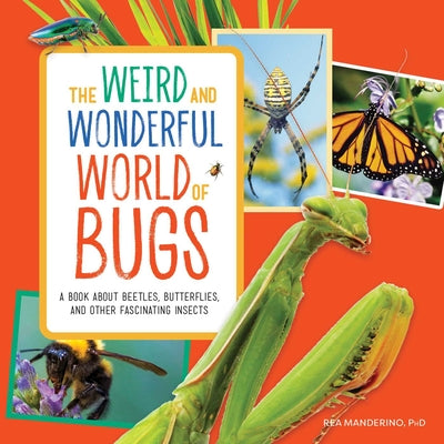 Book cover for The Weird and Wonderful World of Bugs: A Book about Beetles, Butterflies, and Other Fascinating Insects