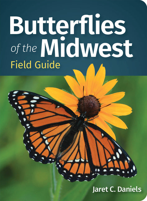 Book cover for Butterflies of the Midwest Field Guide