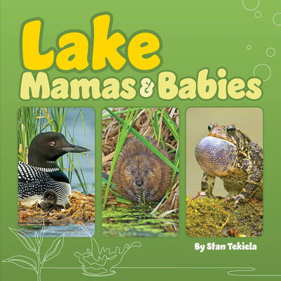 Book cover for Lake Mamas & Babies