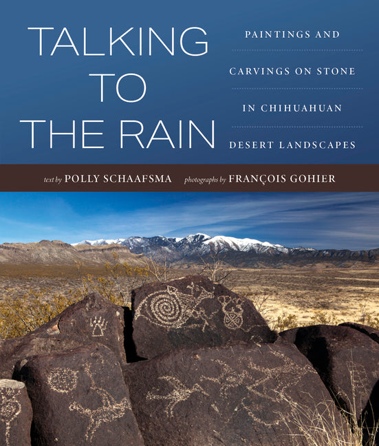 Book cover for Talking to the Rain: Paintings and Carvings on Stone in Chihuahuan Desert Landscapes