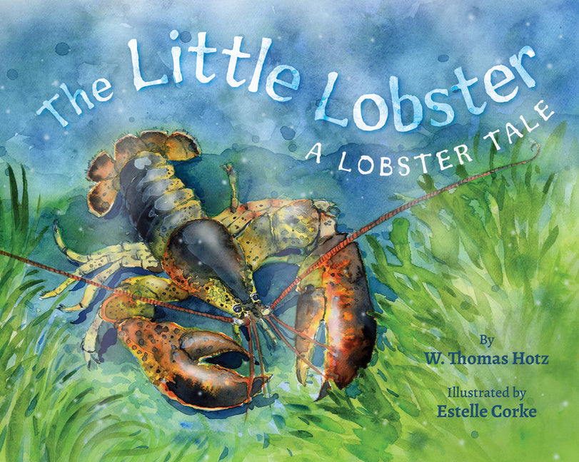 Book cover for Little Lobster