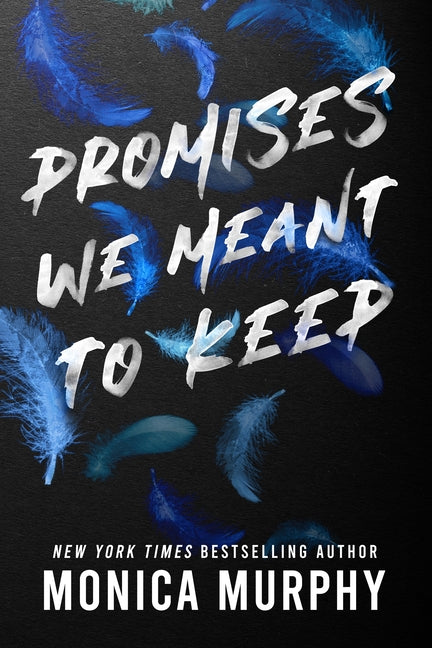 Book cover for Promises We Meant to Keep