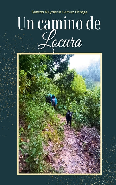 Book cover for camino de Locura