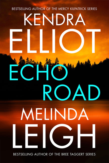Book cover for Echo Road