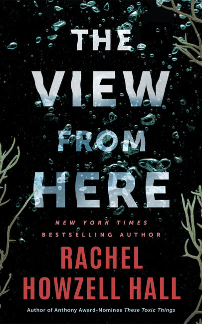 Book cover for View from Here: A Thriller