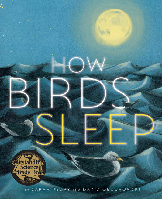 Book cover for How Birds Sleep
