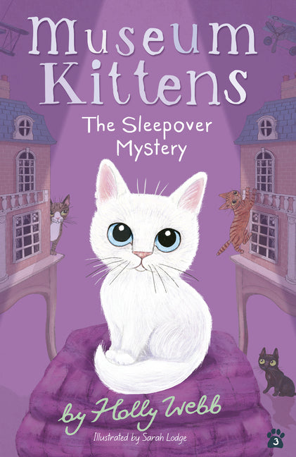 Book cover for Sleepover Mystery