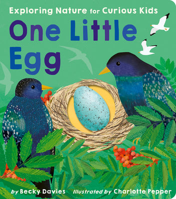 Book cover for One Little Egg: Exploring Nature for Curious Kids