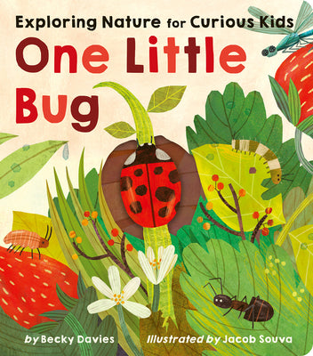 Book cover for One Little Bug: Exploring Nature for Curious Kids