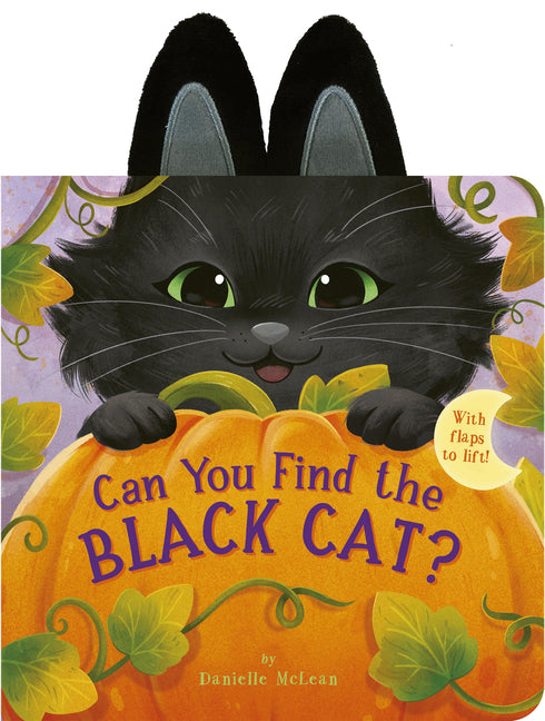 Book cover for Can You Find the Black Cat?: With Flaps to Lift!