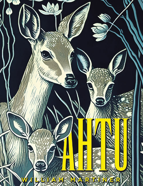 Book cover for Ahtu