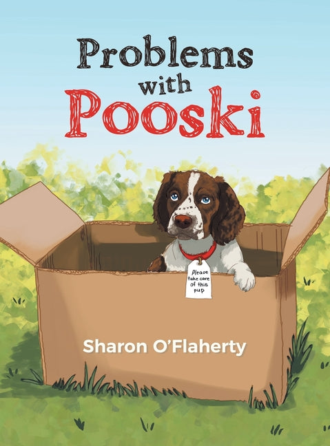 Book cover for Problems with Pooski