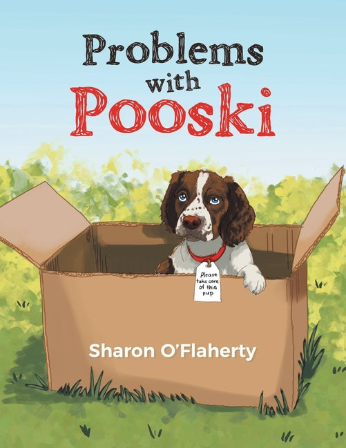Book cover for Problems with Pooski