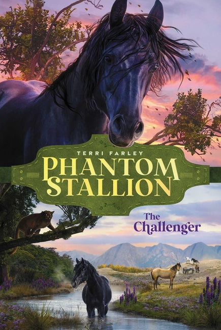 Book cover for Challenger